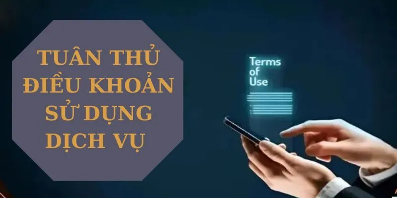 Một số quy định trong điều khoản rất quan trọng