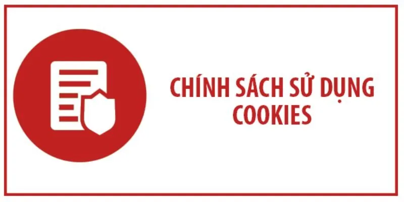 Dữ liệu cookie đang ngày càng được quan tâm